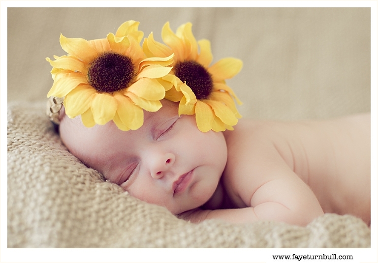 The Most Beautiful Triplets | Cape Town Newborn Photographer » Cape ...